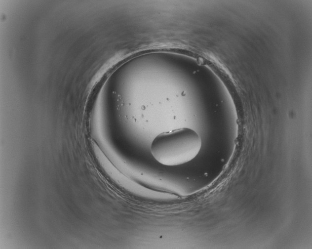 X0000067521173200604071314