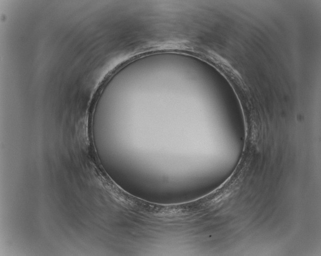 X0000067521174200604071314