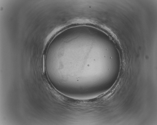 X0000067521175200604071314