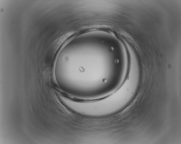 X0000067521177200604071314