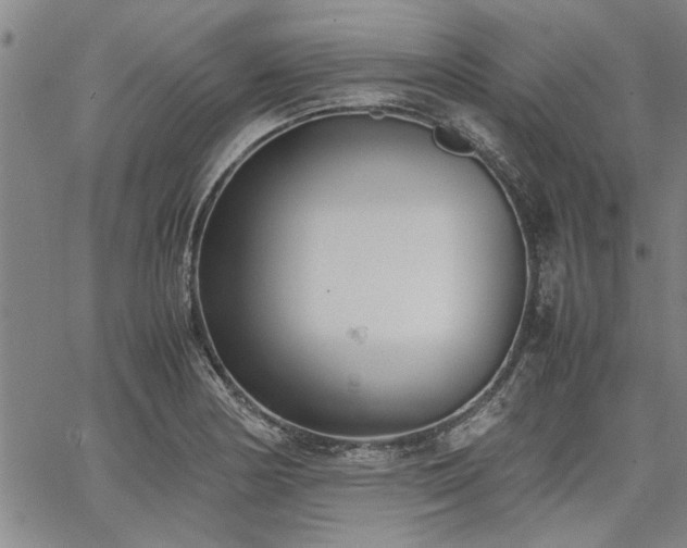 X0000067521178200604071314