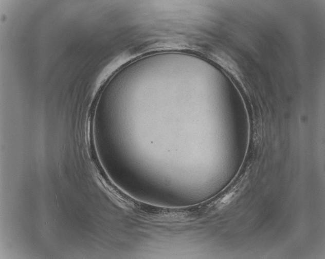 X0000067521179200604071314