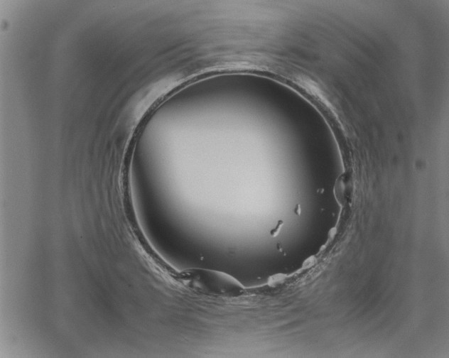 X0000067521181200604071314