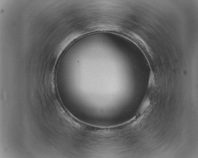 X0000067521182200604071314