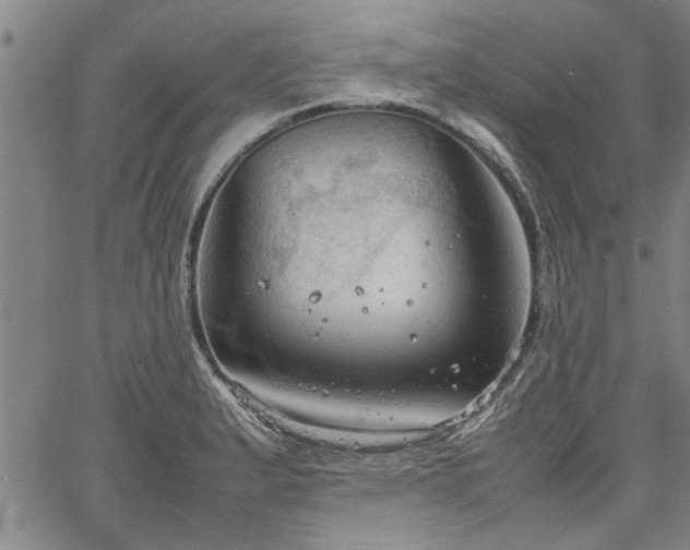 X0000067521183200604071314