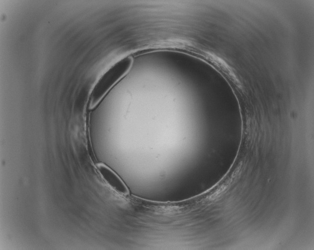 X0000067521184200604071314