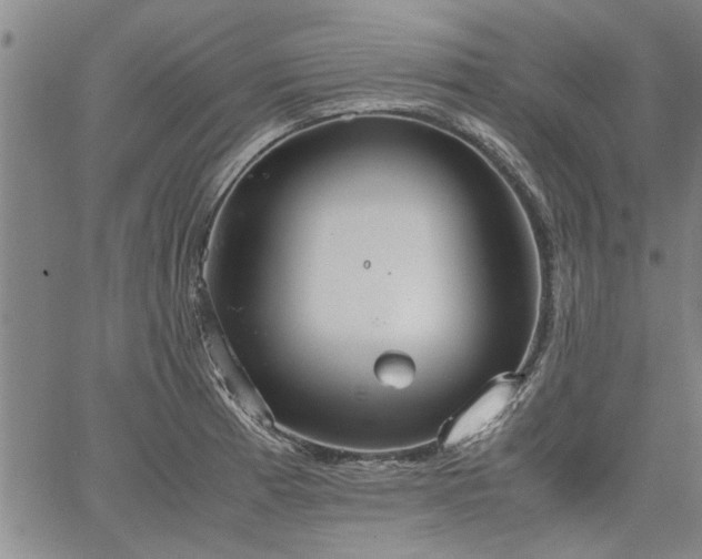 X0000067521185200604071313