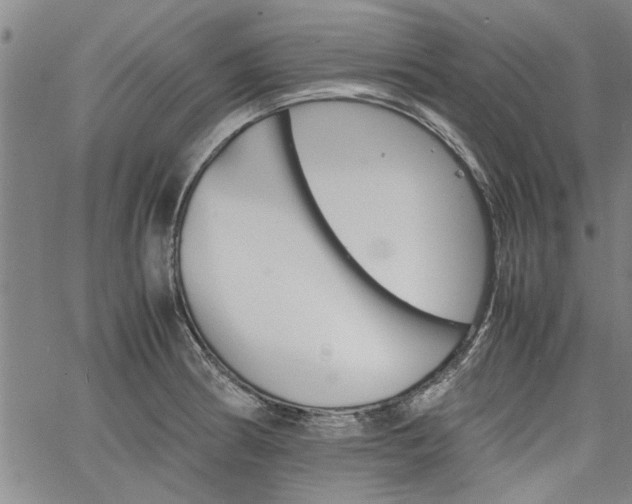 X0000067521186200604071313