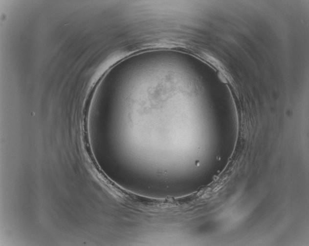 X0000067521187200604071313