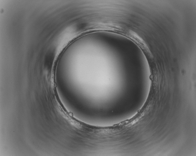 X0000067521188200604071313