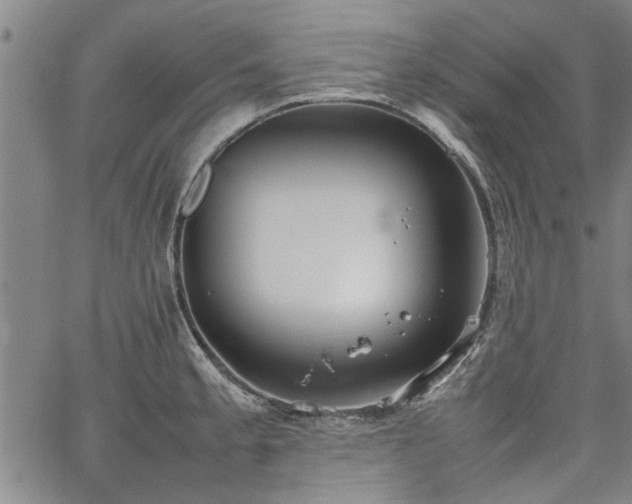 X0000067521189200604071313