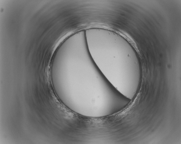 X0000067521190200604071313