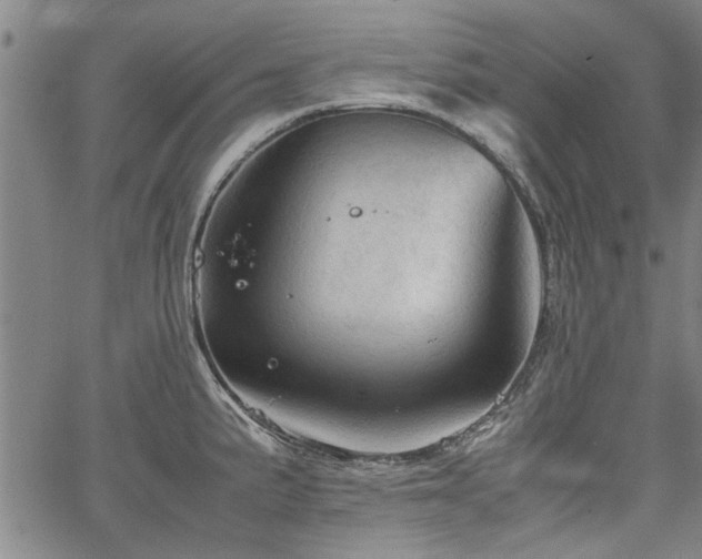 X0000067521191200604071313