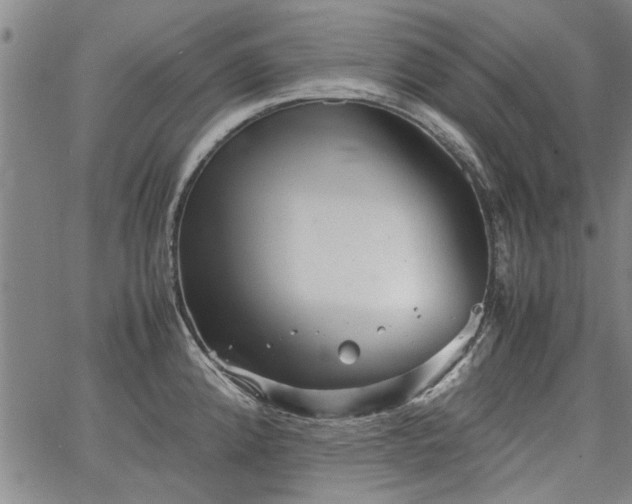 X0000067521192200604071313