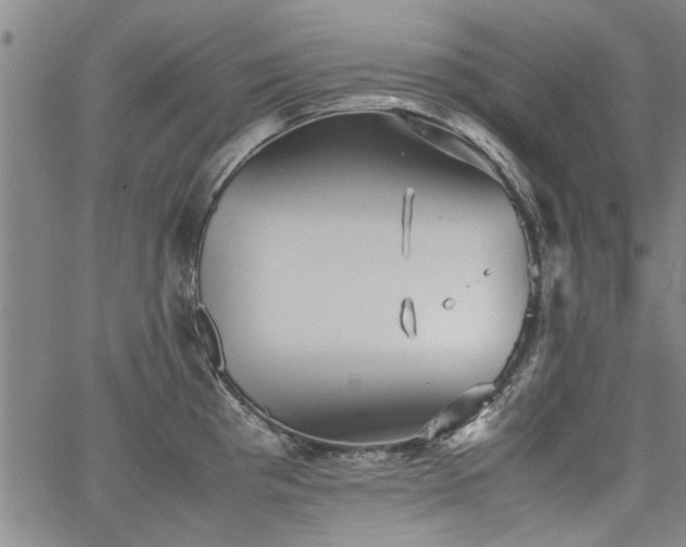 X0000067521193200604071313