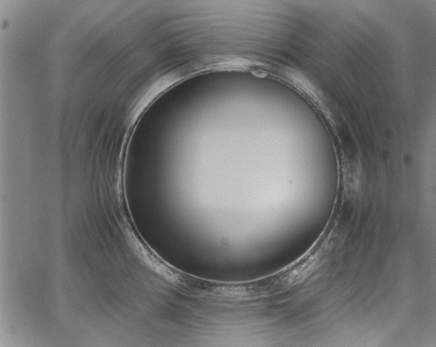 X0000067521194200604071313