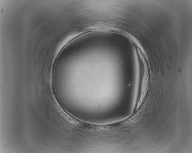 X0000067521195200604071313