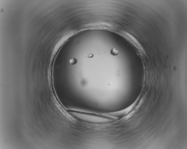 X0000067521196200604071313