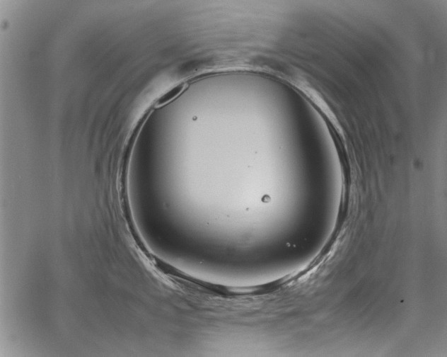 X0000067521197200604071313