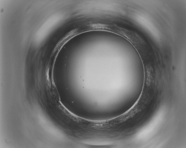 X0000067521198200604071313