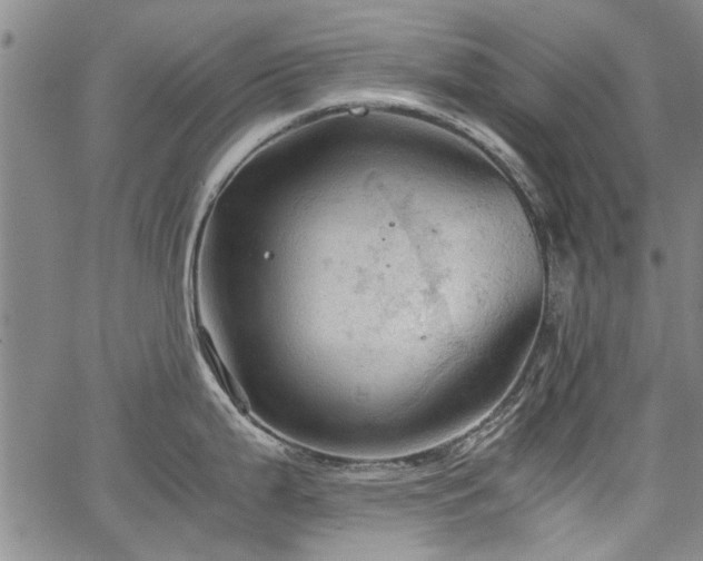 X0000067521199200604071313