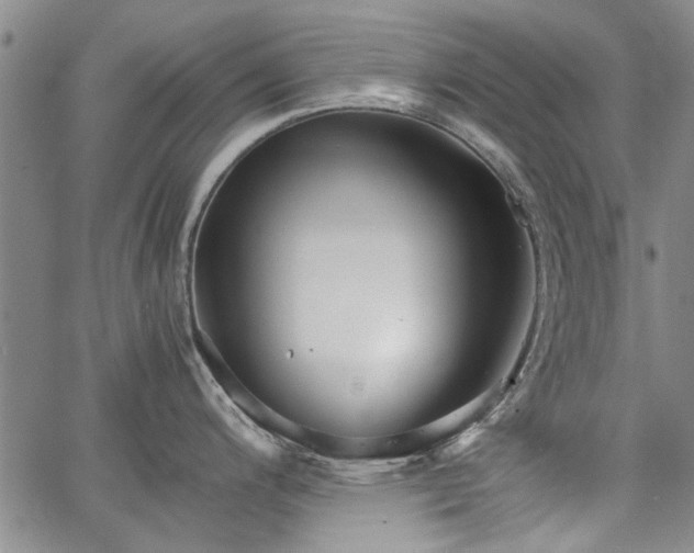 X0000067521200200604071313