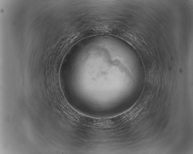 X0000067521201200604071312