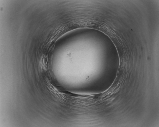 X0000067521202200604071312