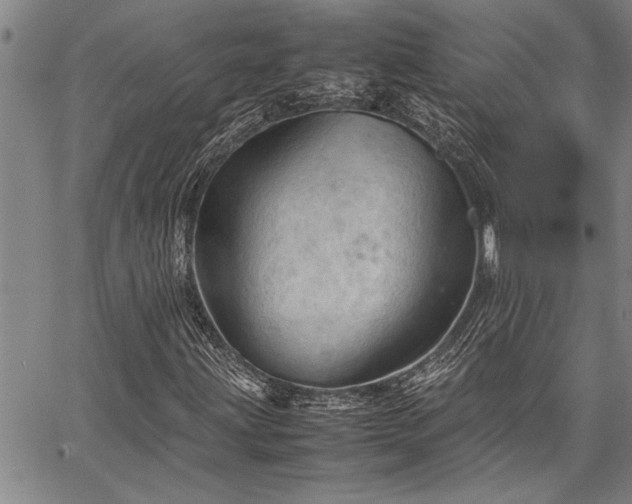 X0000067521203200604071313