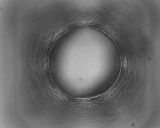 X0000067521204200604071313