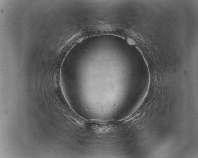 X0000067521205200604071313