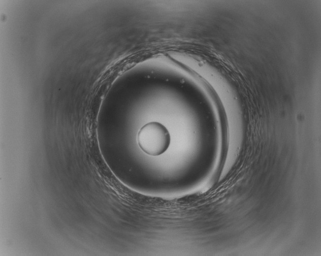 X0000067521206200604071313