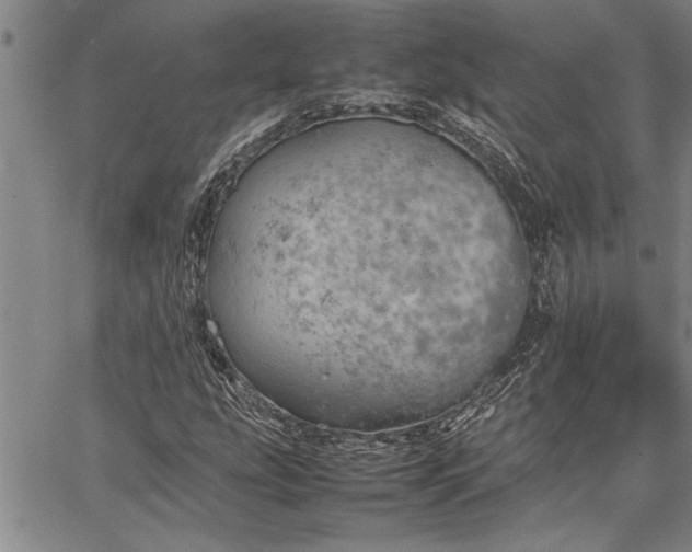 X0000067521207200604071313