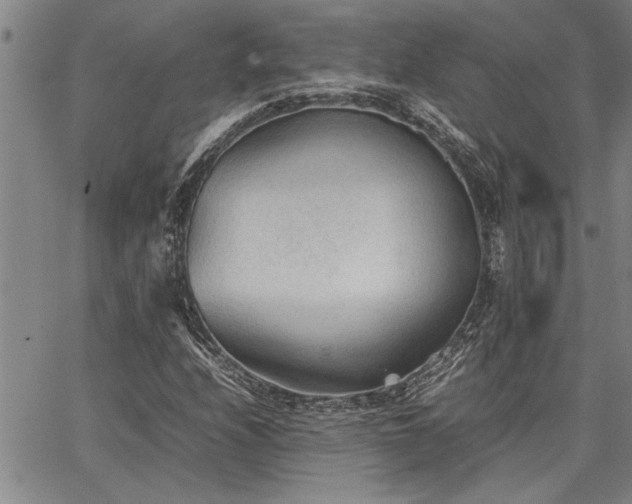 X0000067521208200604071313