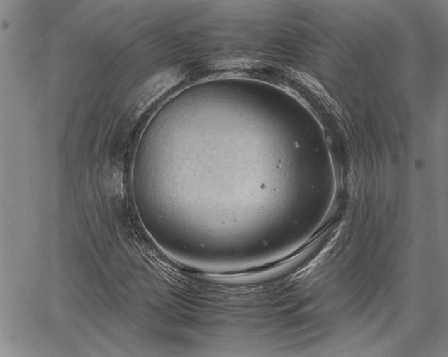 X0000067521209200604071313