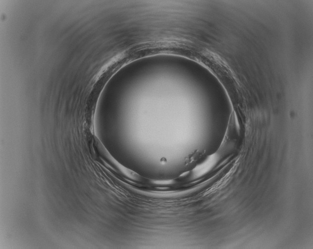 X0000067521210200604071313