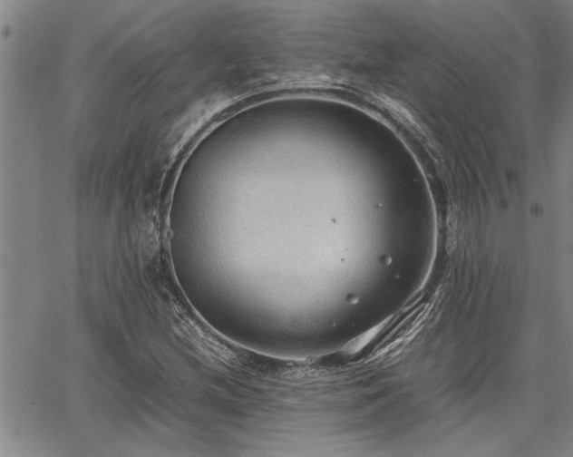 X0000067521212200604071313