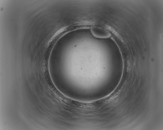 X0000067521213200604071313