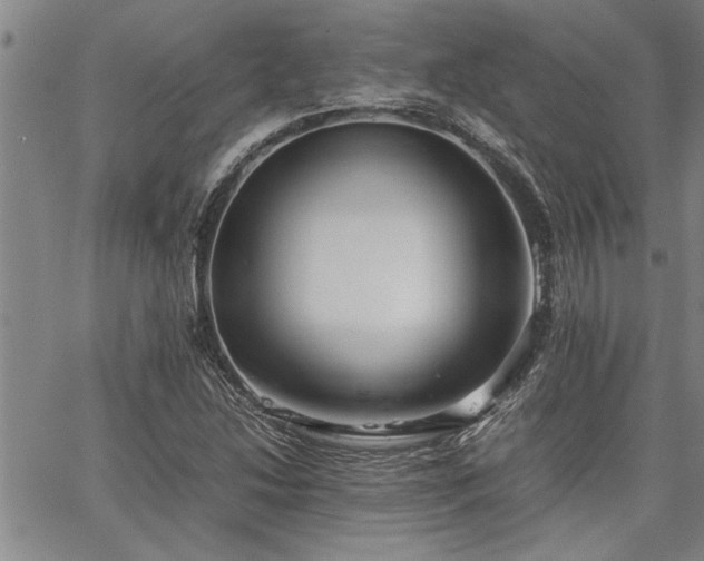 X0000067521214200604071313