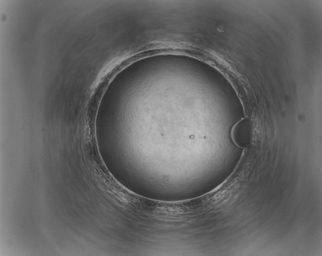 X0000067521215200604071313