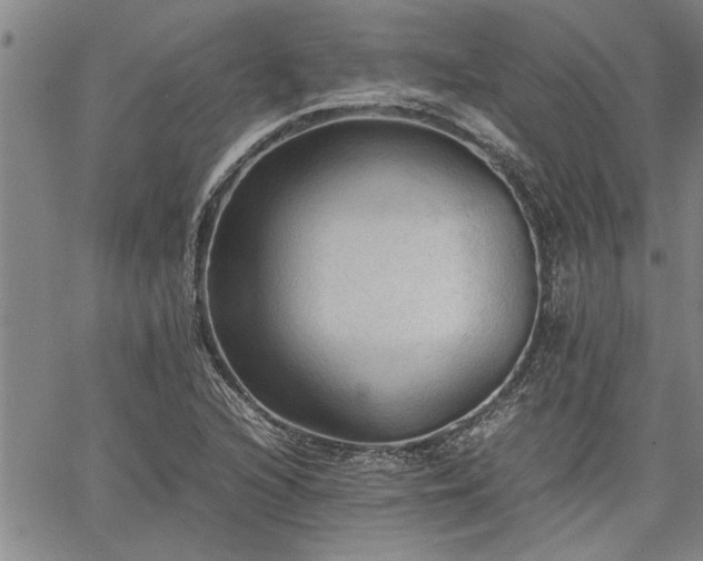 X0000067521216200604071313