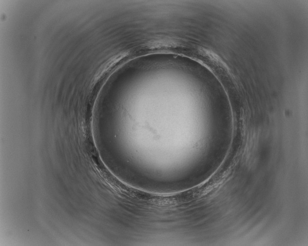 X0000067521217200604071313