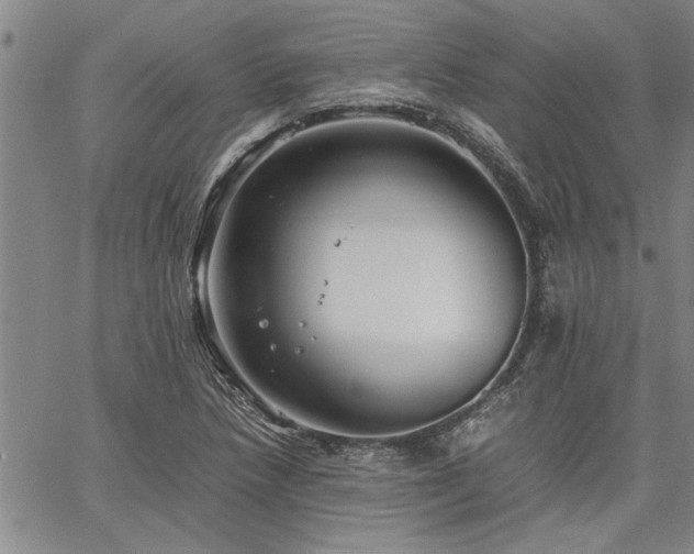 X0000067521218200604071313