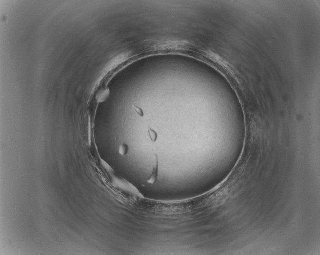 X0000067521219200604071313