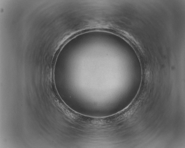 X0000067521220200604071313