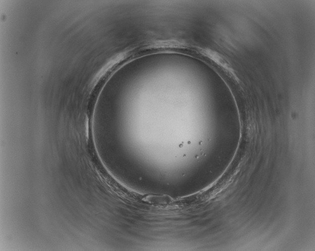 X0000067521221200604071313