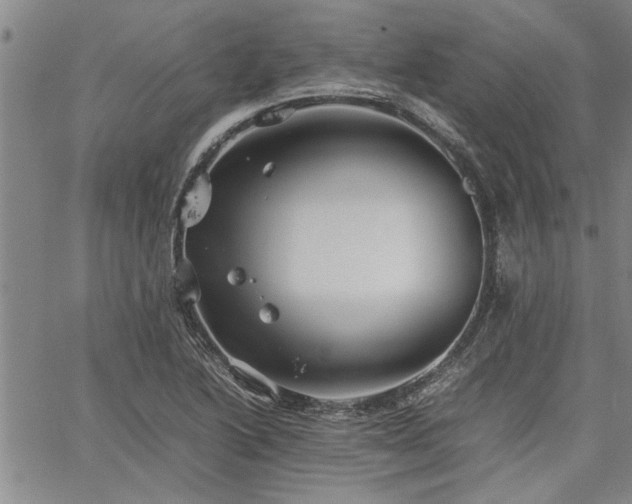 X0000067521222200604071313