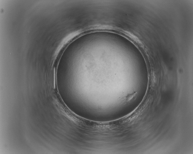 X0000067521223200604071313