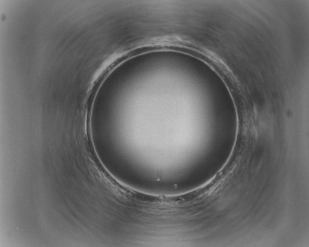 X0000067521224200604071313