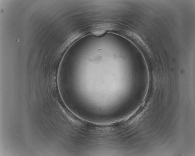 X0000067521225200604071313